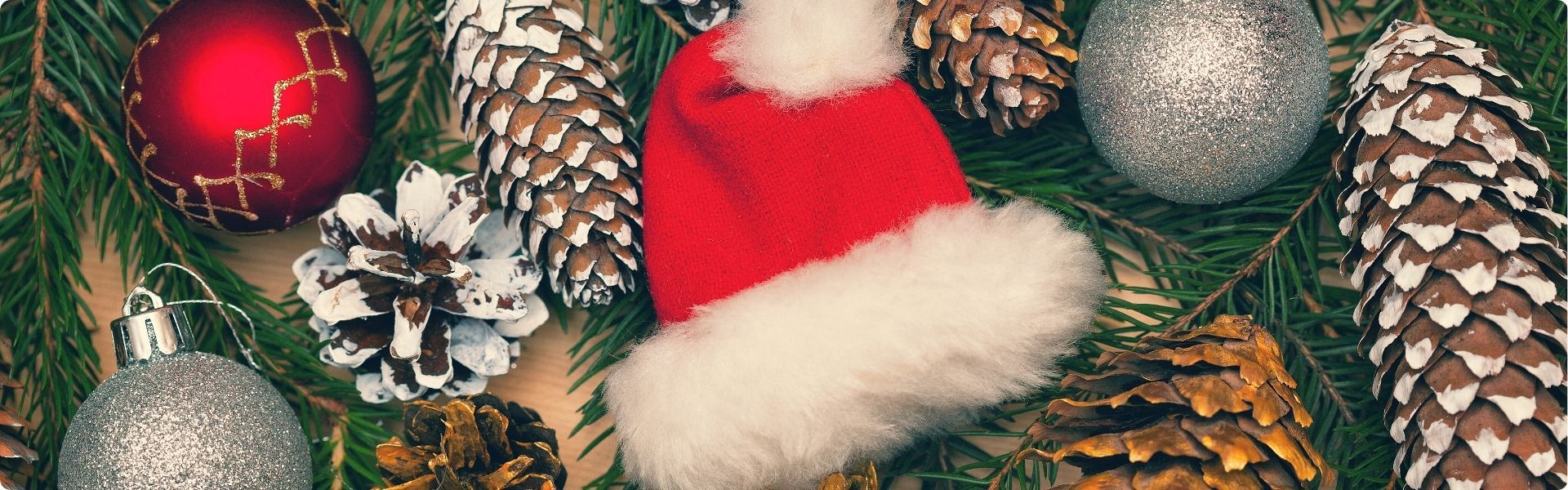 Christmas Trees, Baubles, Tree Toppers, Stockings, Gifts, DIY Kits & Fun Holiday Accessories