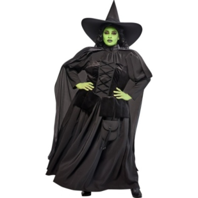Wicked Witch of the West-Adult/Plus 2X