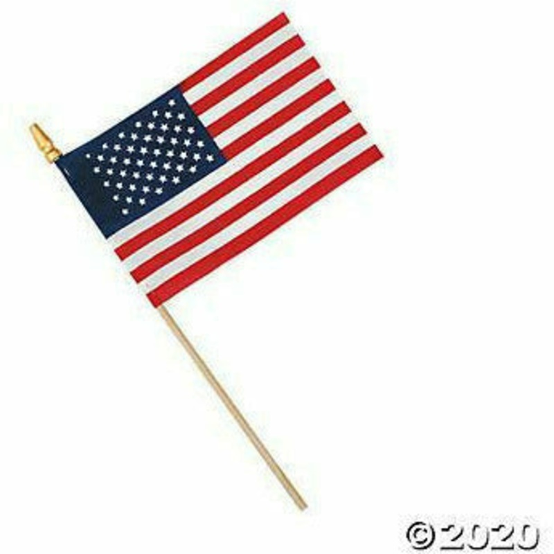 1 Dozen American Flags