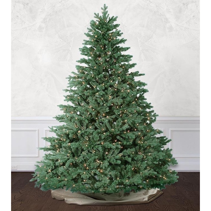 Emerald Vermont Spruce