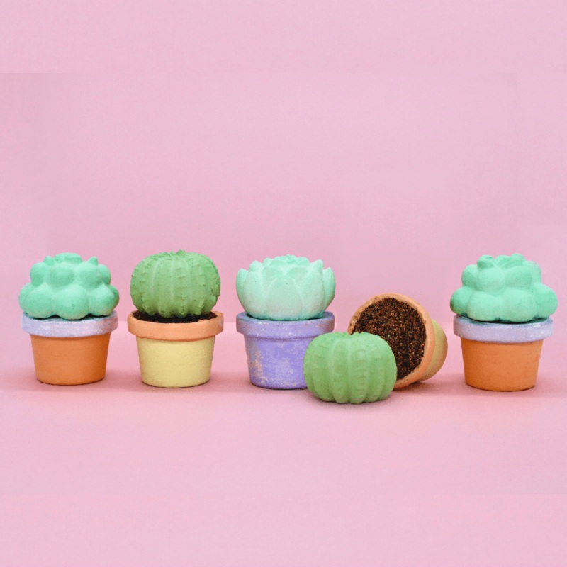 Succulents Sidewalk Chalk Set