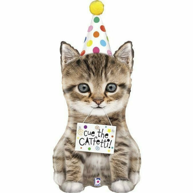 247A 36″ Cue the Catfetti Foil