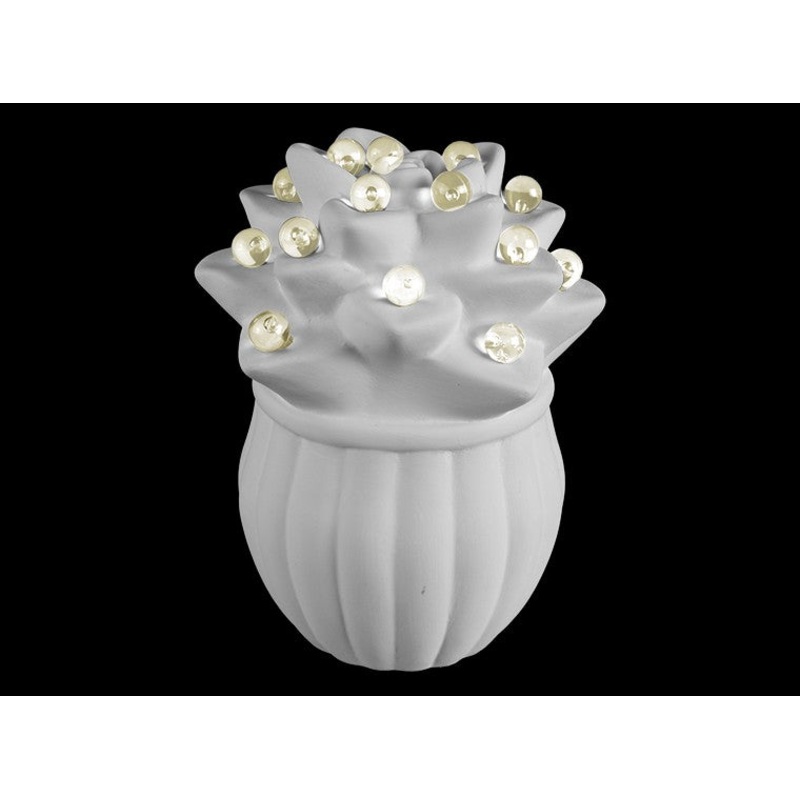 Adorable Light Up Succulent Night Light Lamp