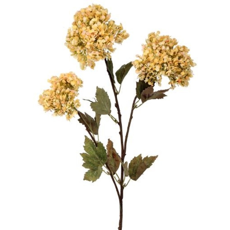 31″ DRYING SNOWBALL SPRAY, Creamy Butter