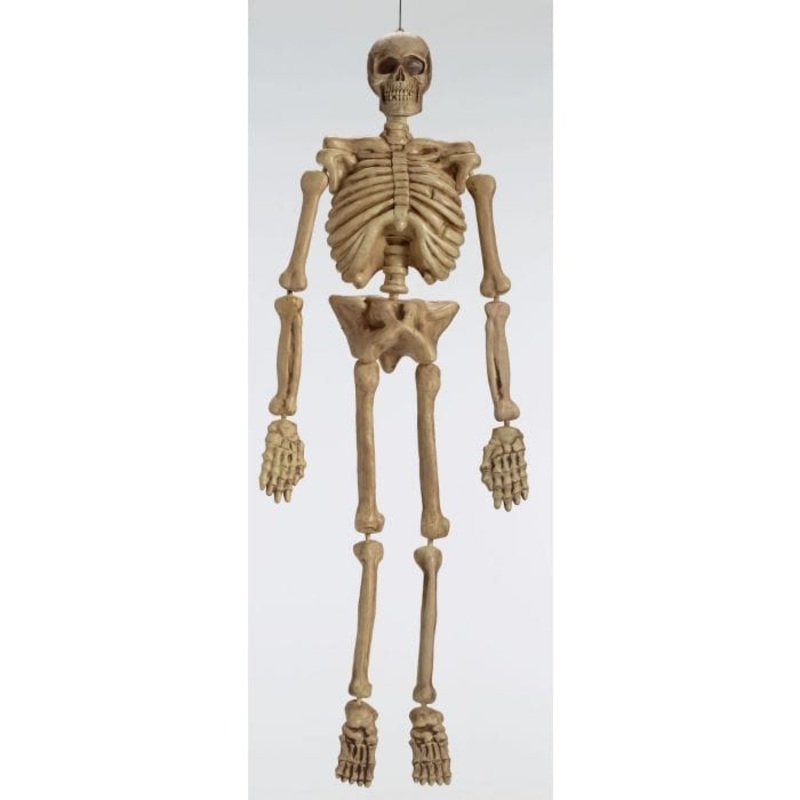 5 ft. Realistic Skeleton