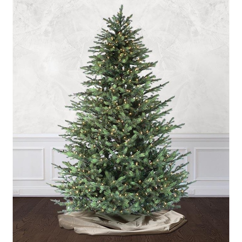 9′ Victorian Fir-PT Multi