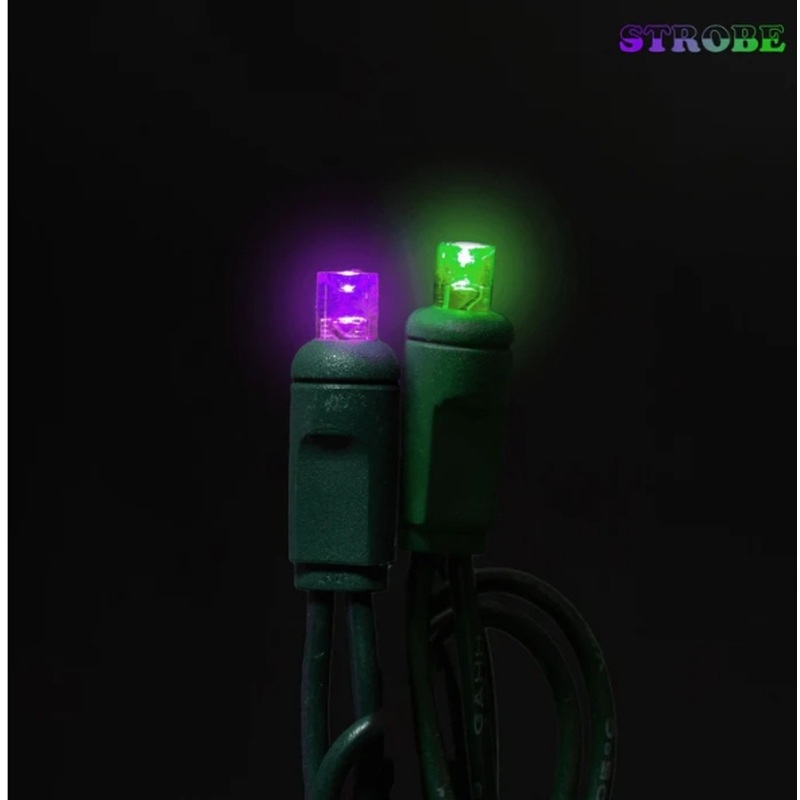 50 count Led Light Set Purple and Green
