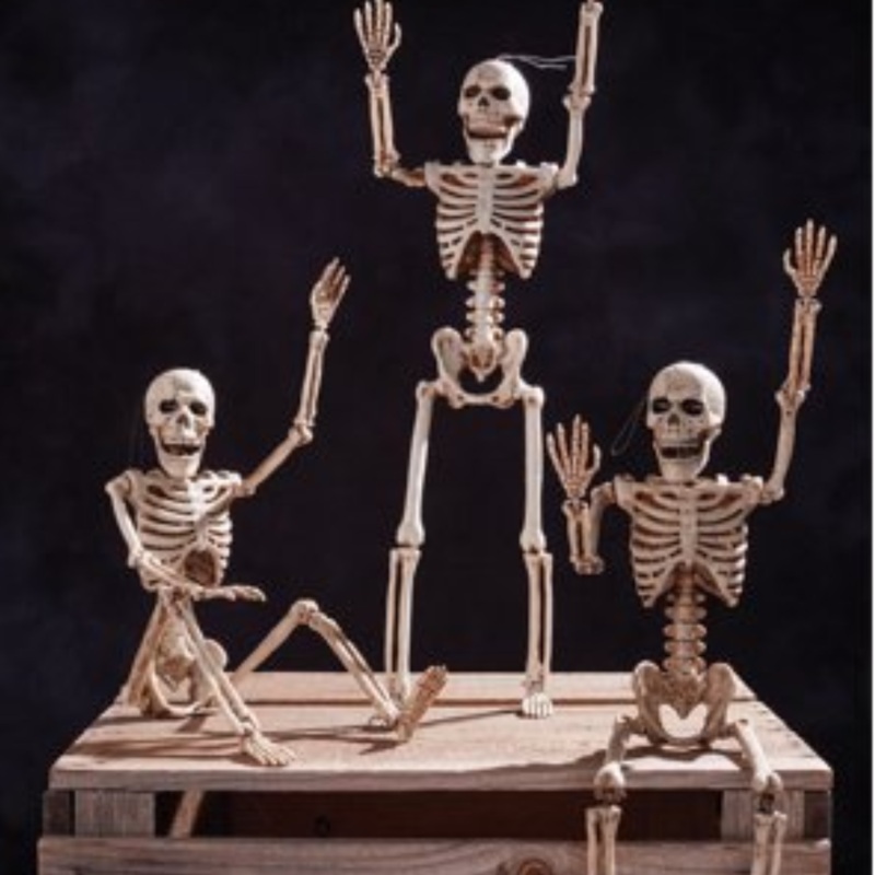 14″ Skeleton Walker