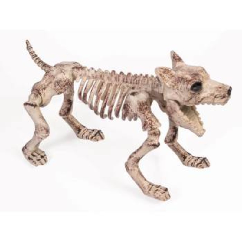 Bone Skeleton Dog
