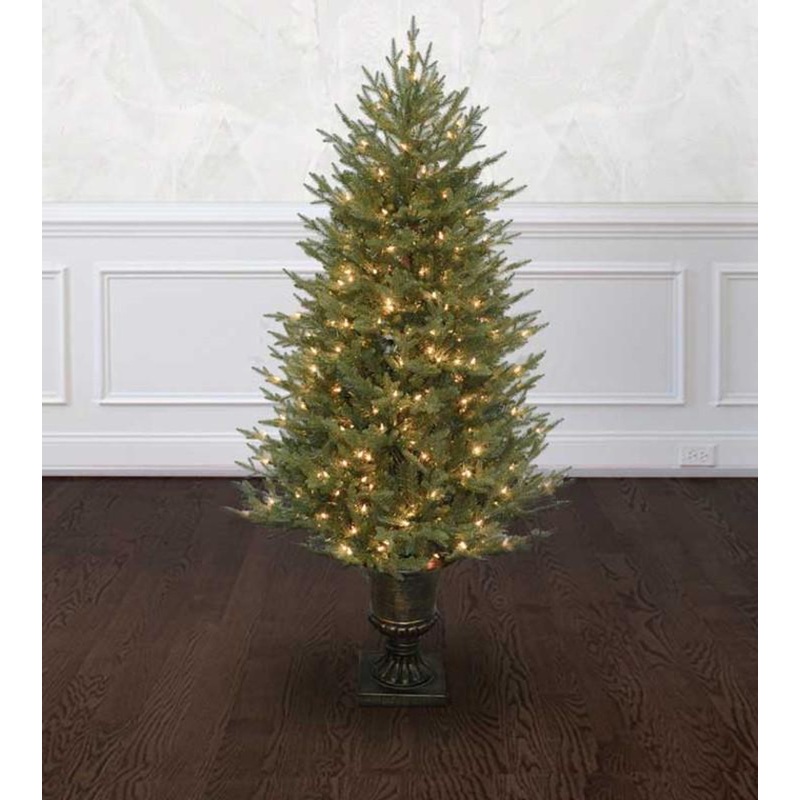 4.5′ Potted Cumberland Fir Tree – Clear