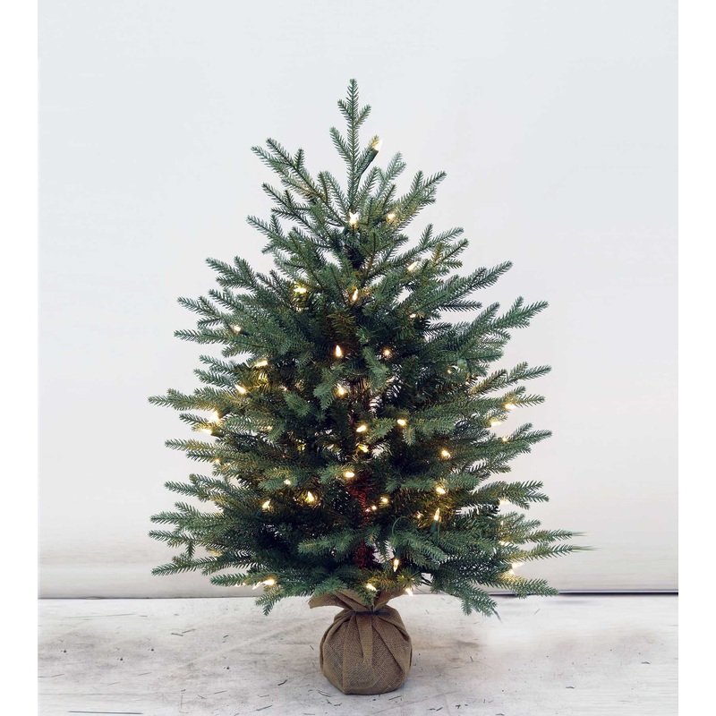 3′ Cumberland Fir Tree – Clear LED