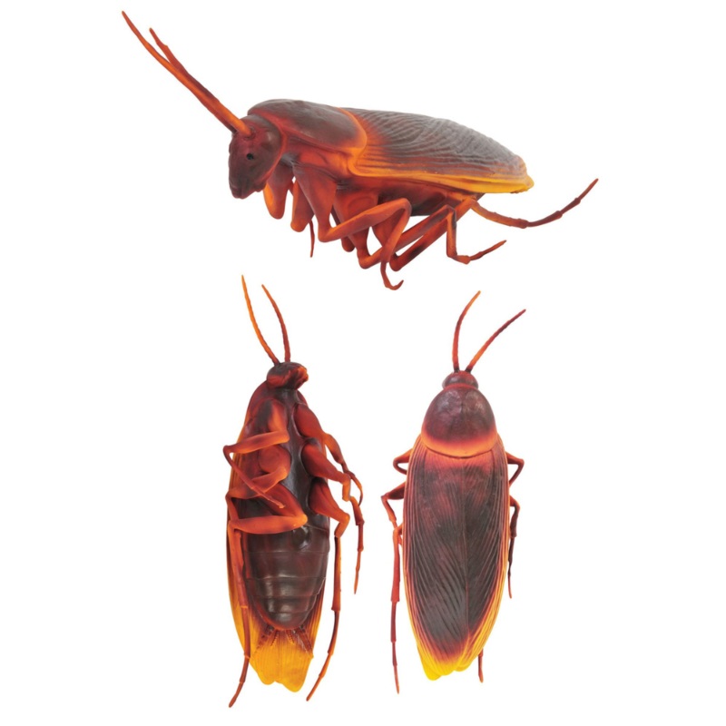 12″ Apocalyptic Cockroach