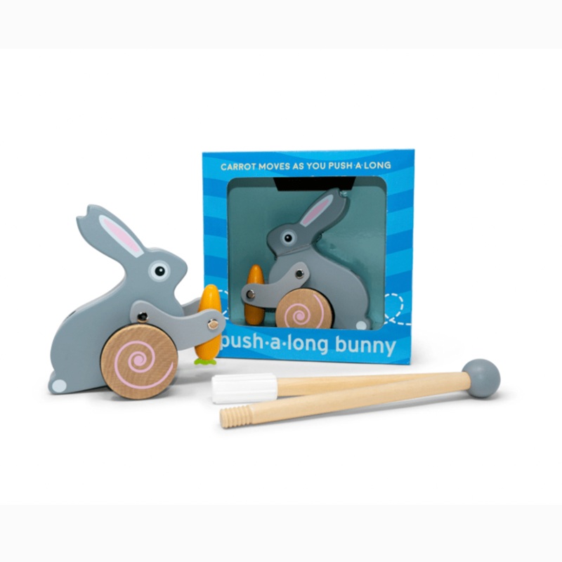 Bunny Push Toy