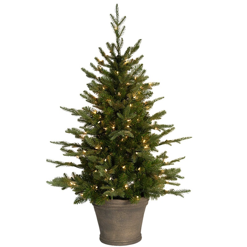 4′ Atlantic Fir Potted Tree – Clear Lights