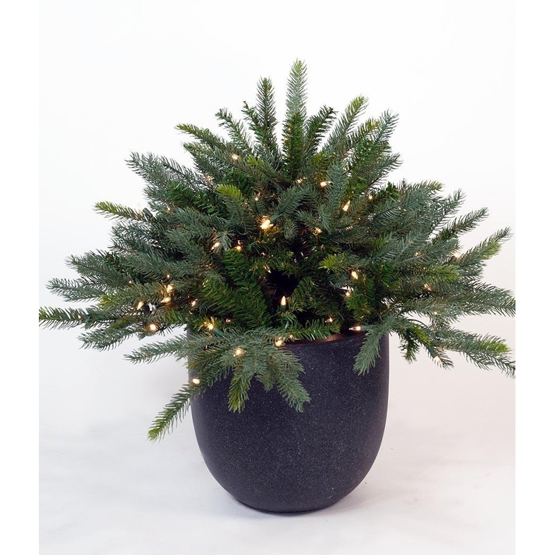 Frasier Boughs Urn Filler