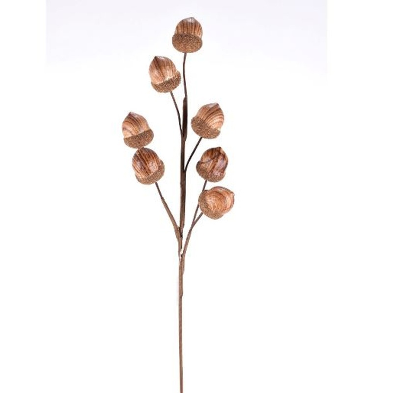 ACORN SPRAY 25″, NATURAL