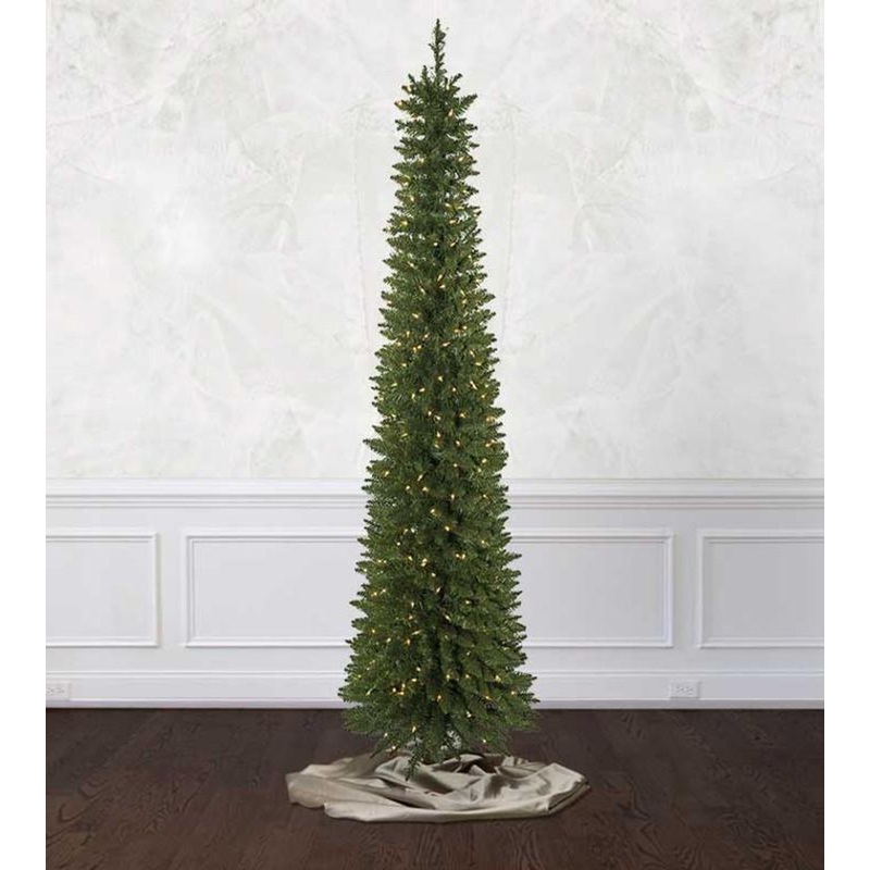5′ Arrow Spruce Tree – Clear