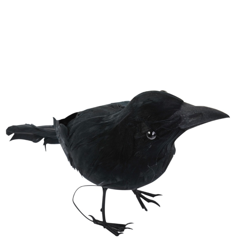 Black Raven w/Feathers