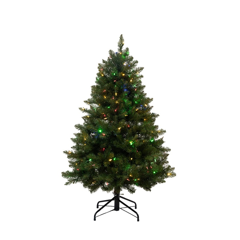 4.5′ Ashton Spruce – Multi