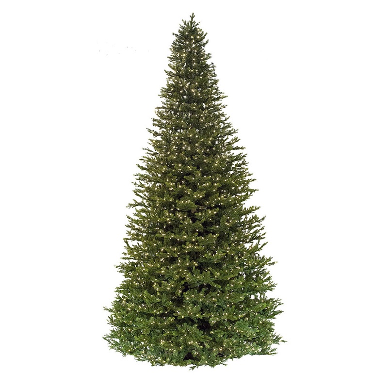 10′ Midland Wexford Spruce – Clear LED